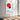 Ikigai Japanese Wall Art — In room