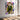 Might Guy and Rock Lee Wall Art — In room