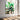 Tatsumaki Wall Art — In room