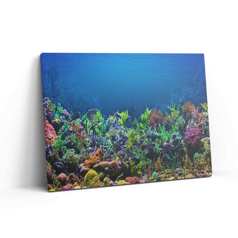 Coral Reef Wall Art – Canvas Freaks