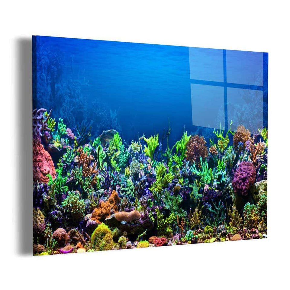 Coral Reef Wall Art – Canvas Freaks