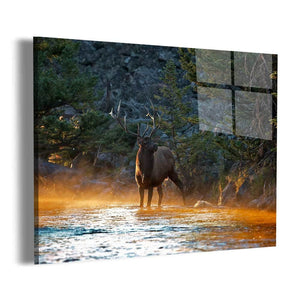 Elk By The Water Wall Art