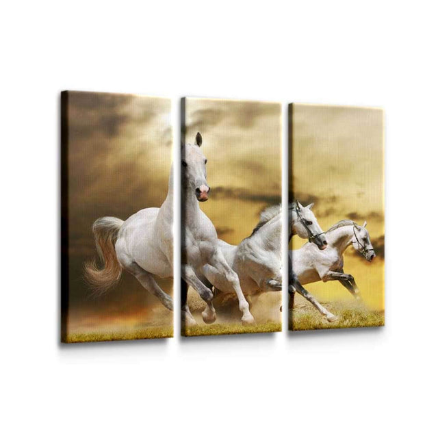 Horses Running Wall Art Canvas Freaks