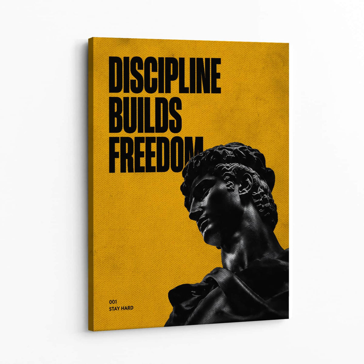Discipline Builds Freedom Wall Art — Canvas