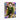 Might Guy and Rock Lee Wall Art — Canvas