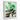 Tatsumaki Wall Art — Ornate frame — white